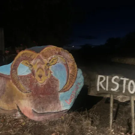 Sardegna 住宿加早餐酒店 奥尔戈索洛