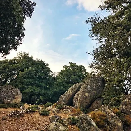 Sardegna