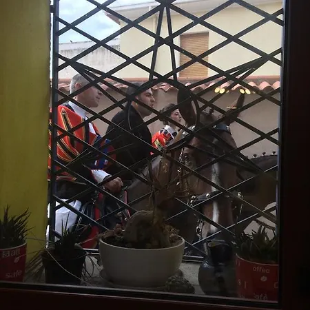 Sardegna 奥尔戈索洛