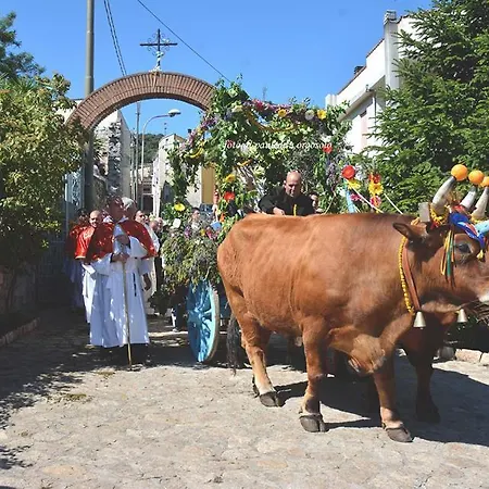 Sardegna Bed and Breakfast