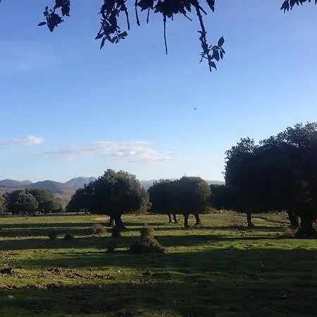 住宿加早餐酒店 Sardegna 3*