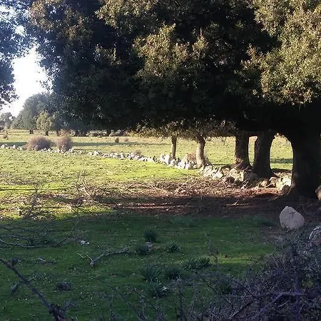 Sardegna Отель типа 