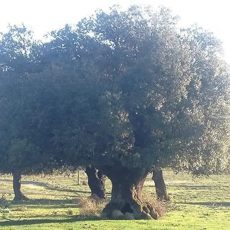 Sardegna 3* Оргозоло