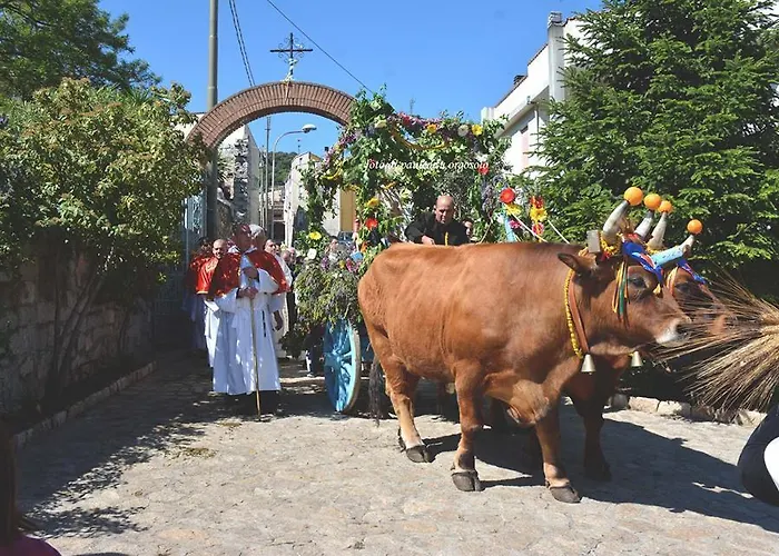 Sardegna Bed and breakfast