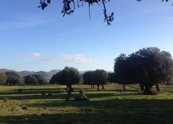 Bed and breakfast Sardegna 3*