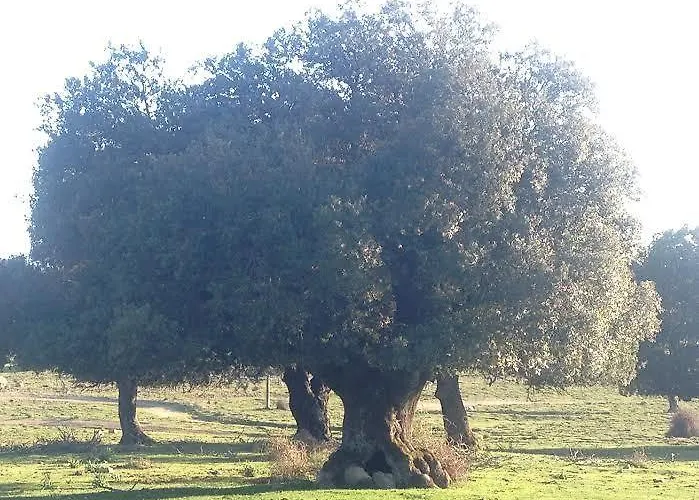 Sardegna 3* Orgosolo